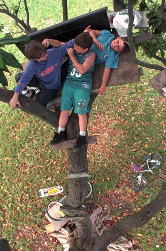 X_TREEKIDS_A0509