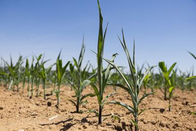 062624-rtd-met-drought