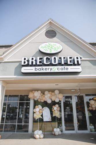 Brecotea